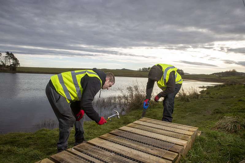 Two people on an unpaid work team constructing a wooden footpath in a scenic location.